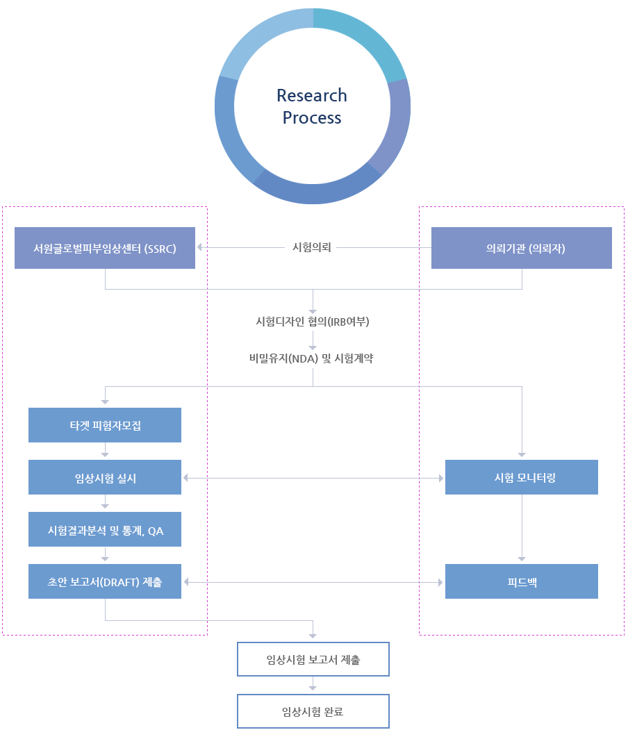 Research Process