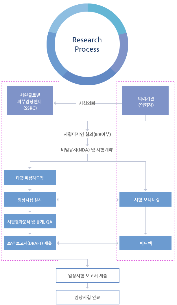 Research Process